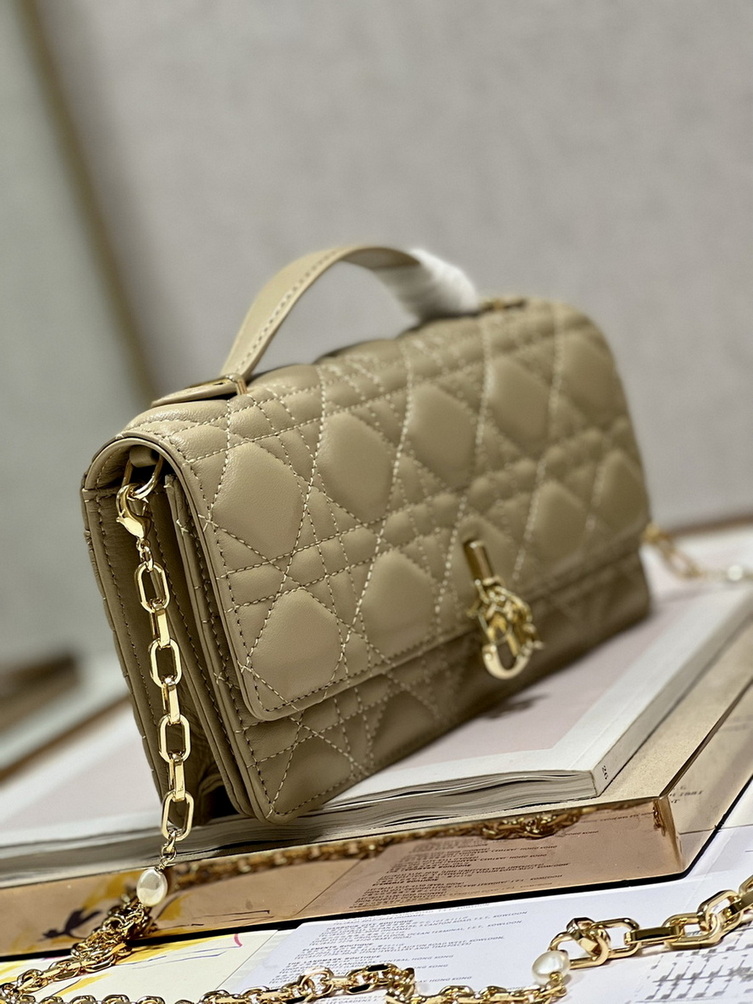 Dior Handbags AAA(Women)-180