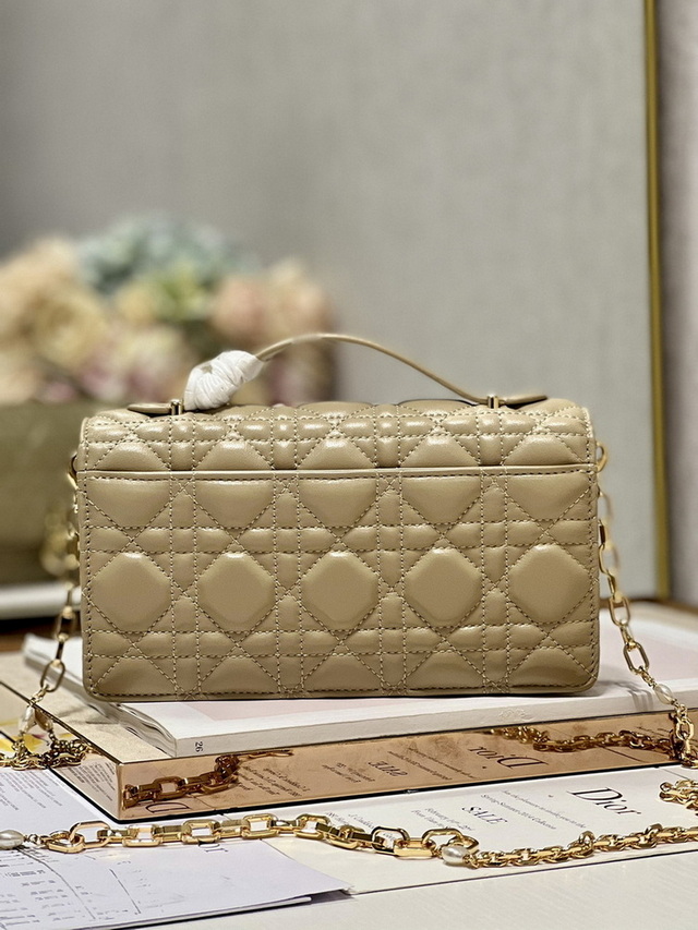 Dior Handbags AAA(Women)-180