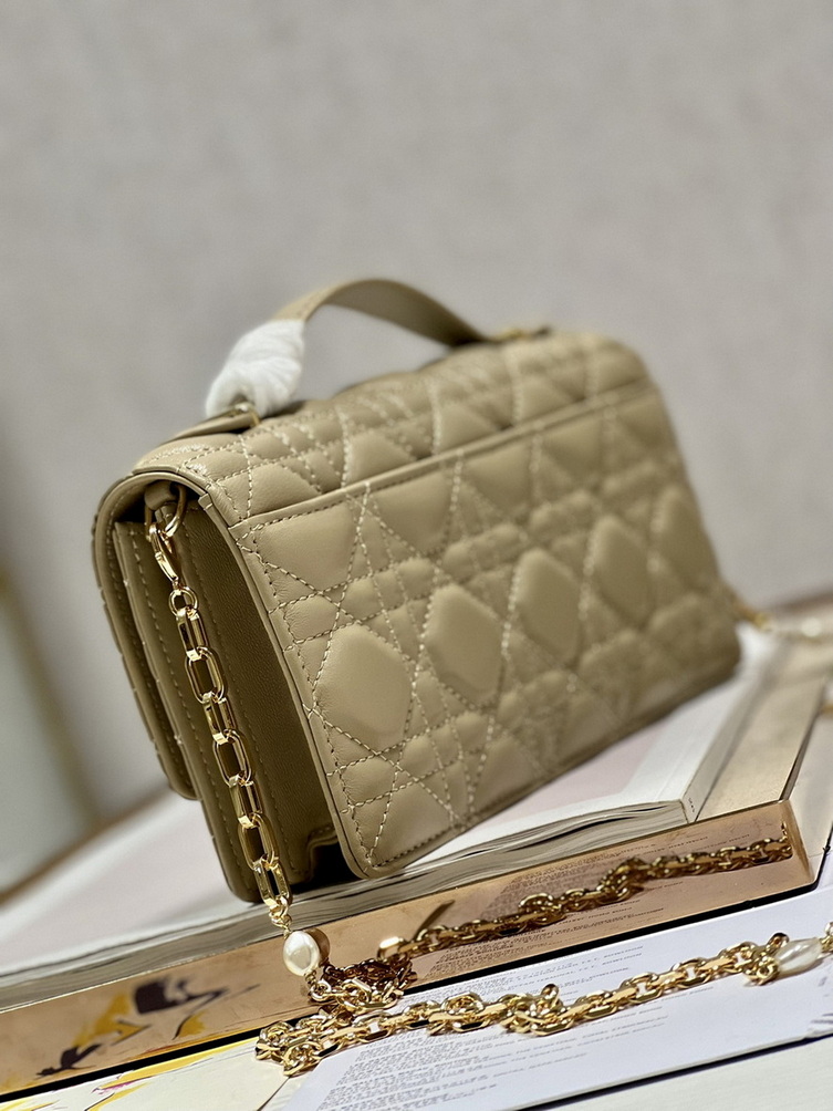 Dior Handbags AAA(Women)-180