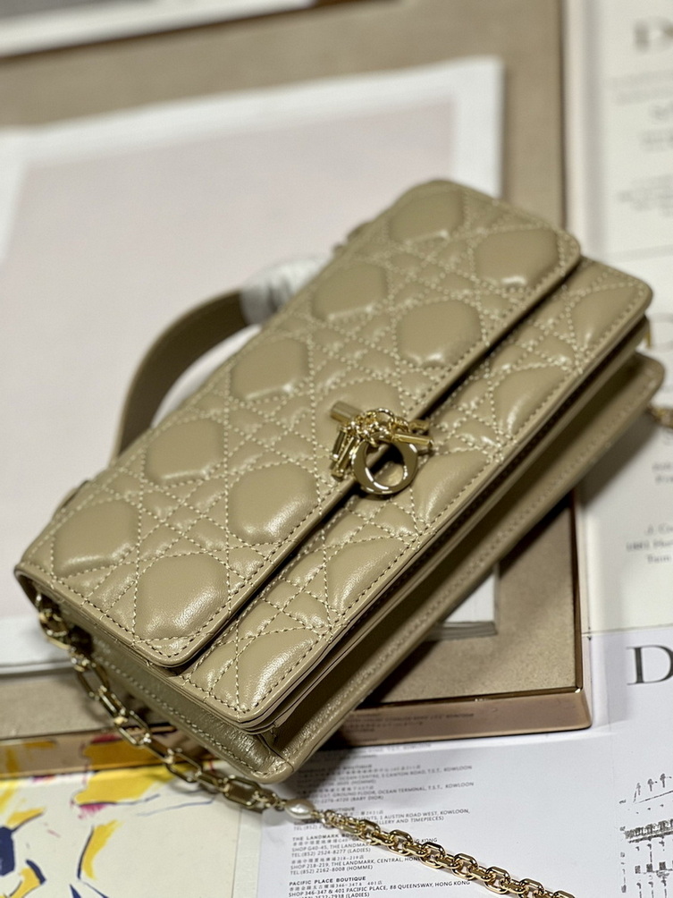 Dior Handbags AAA(Women)-180