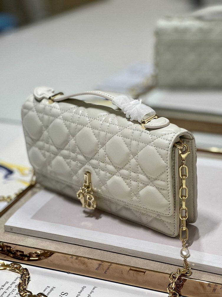 Dior Handbags AAA(Women)-181