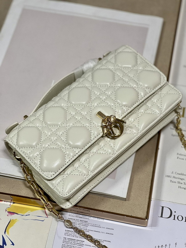 Dior Handbags AAA(Women)-181