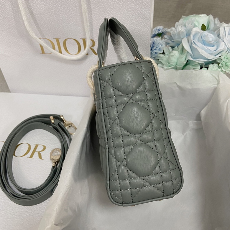 Dior Handbags AAA(Women)-129