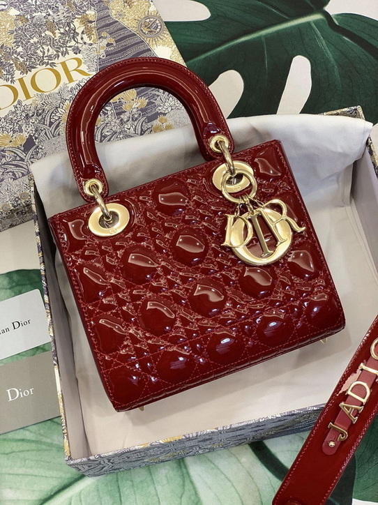 Dior Handbags AAA(Women)-190