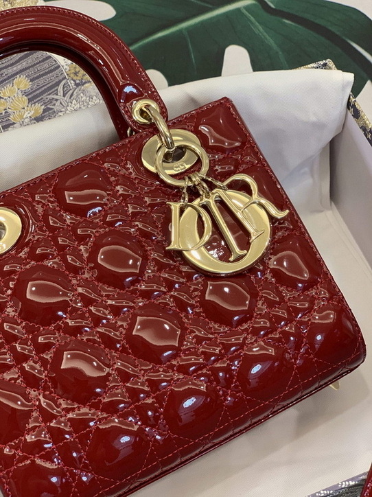 Dior Handbags AAA(Women)-190