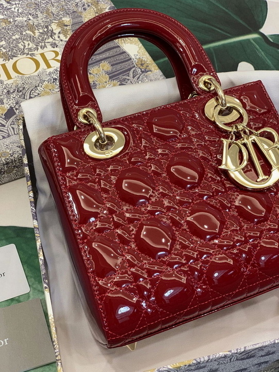 Dior Handbags AAA(Women)-190