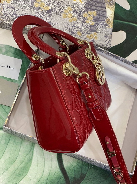 Dior Handbags AAA(Women)-190