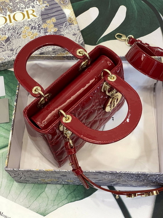 Dior Handbags AAA(Women)-190