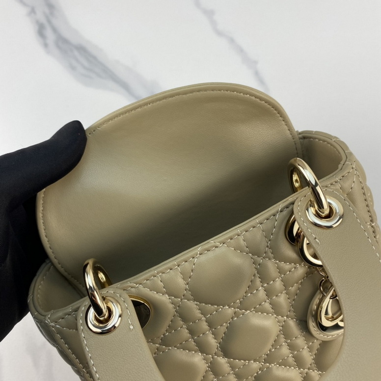 Dior Handbags AAA(Women)-191