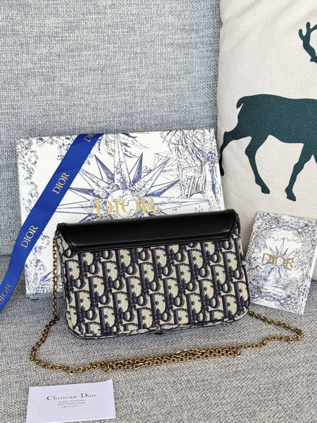 Dior Handbags AAA(Women)-481