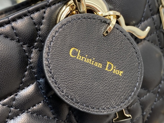 Dior Handbags AAA(Women)-483