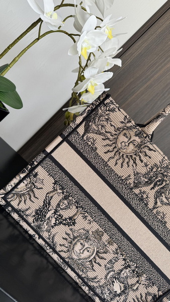 Dior Handbags AAA(Women)-484