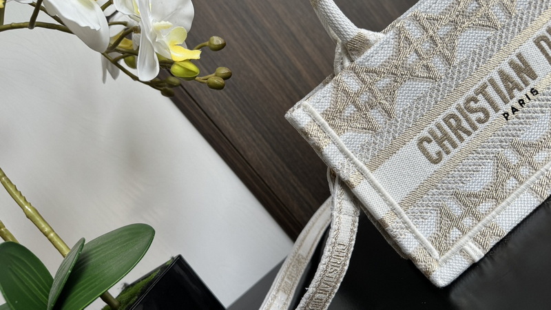 Dior Handbags AAA(Women)-490