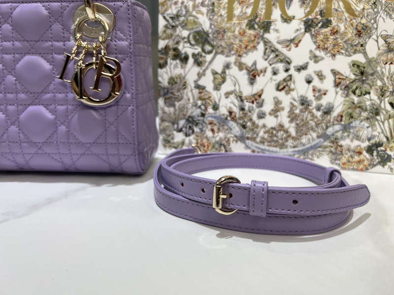 Dior Handbags AAA(Women)-496