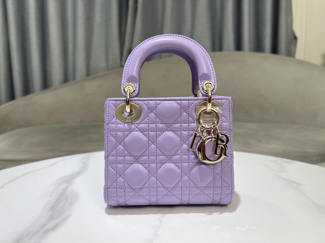 Dior Handbags AAA(Women)-496
