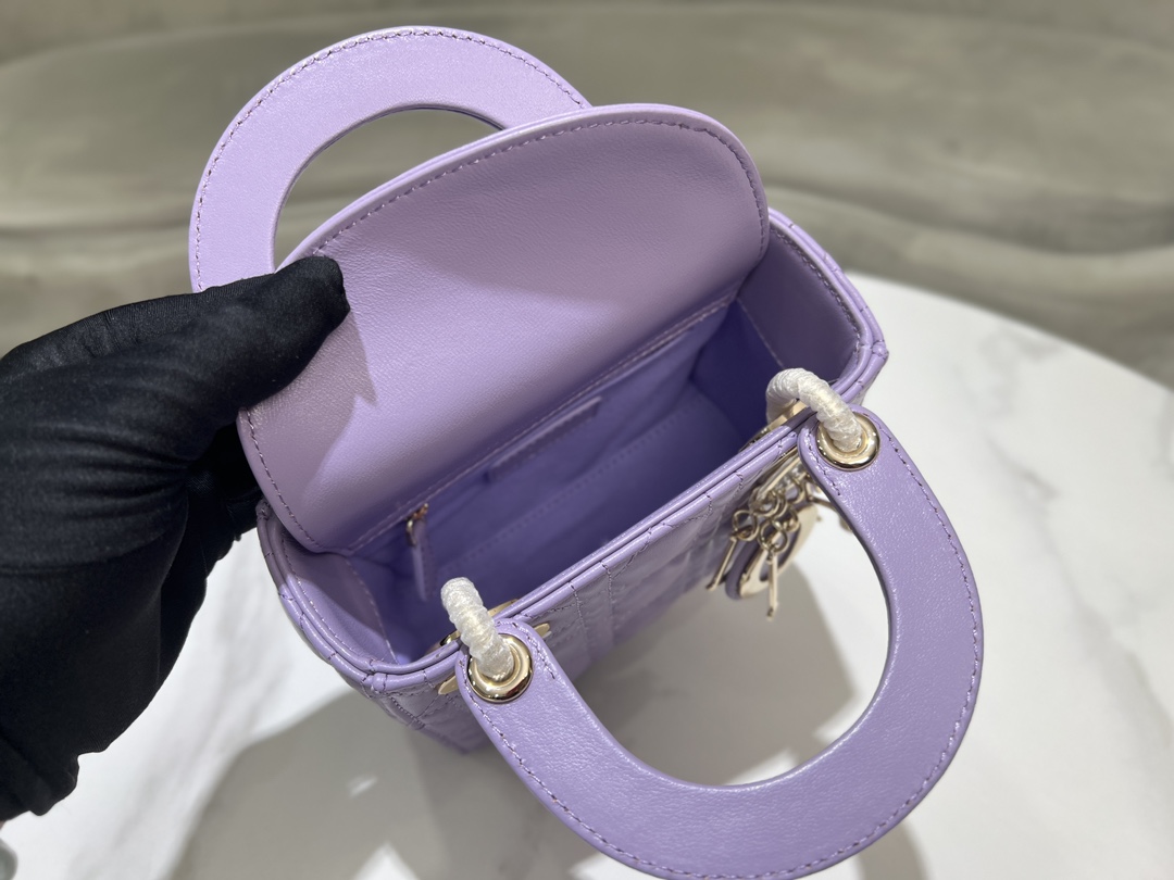 Dior Handbags AAA(Women)-496