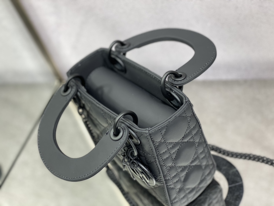 Dior Handbags AAA(Women)-497