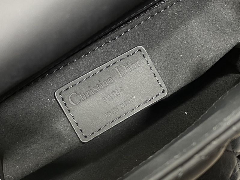 Dior Handbags AAA(Women)-497