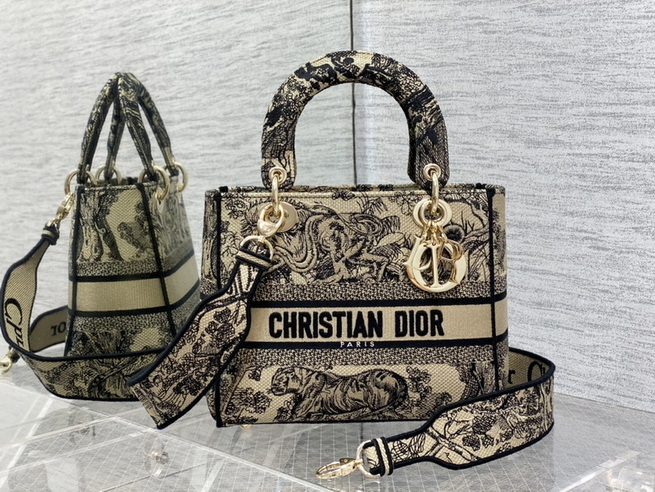 Dior Handbags AAA(Women)-498