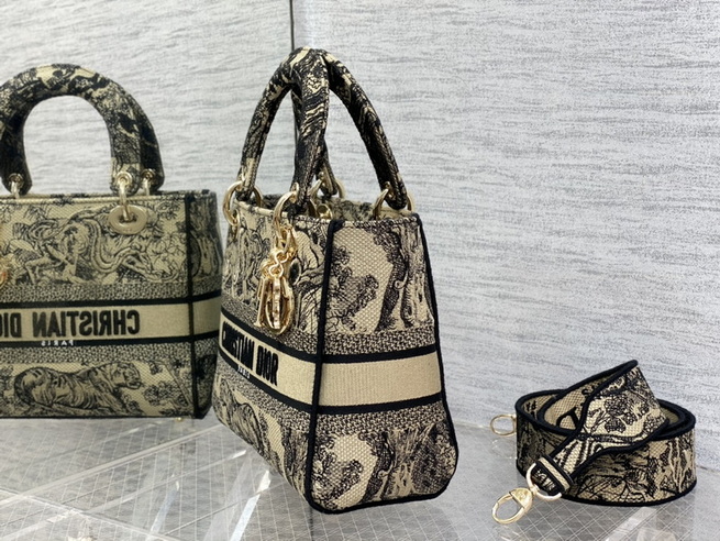 Dior Handbags AAA(Women)-498