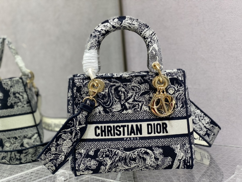 Dior Handbags AAA(Women)-499