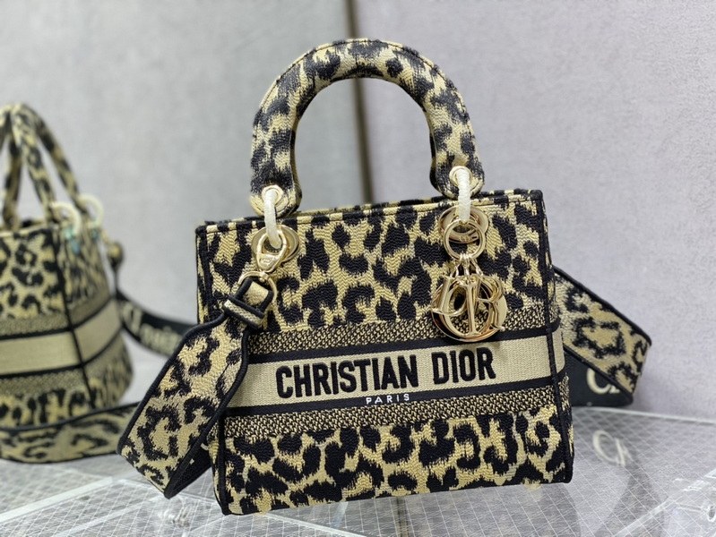 Dior Handbags AAA(Women)-501