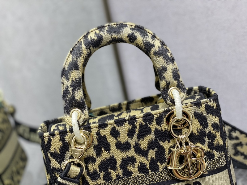 Dior Handbags AAA(Women)-501