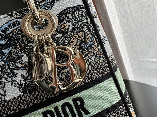 Dior Handbags AAA(Women)-504