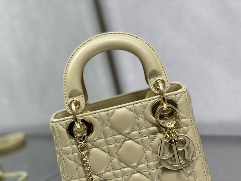 Dior Handbags AAA(Women)-506