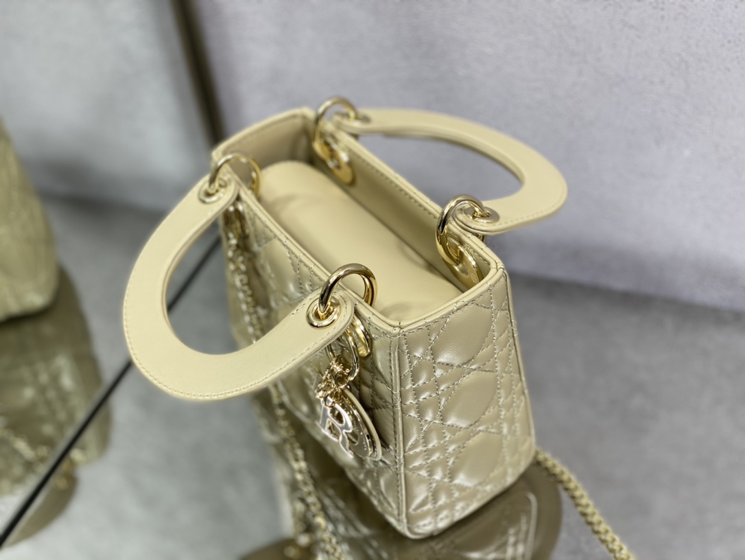 Dior Handbags AAA(Women)-506
