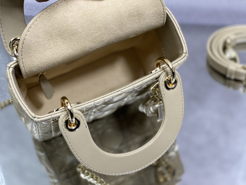 Dior Handbags AAA(Women)-506