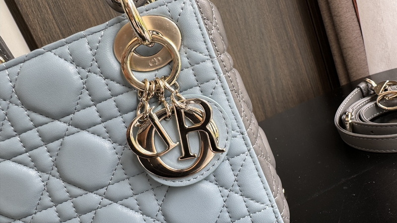 Dior Handbags AAA(Women)-507