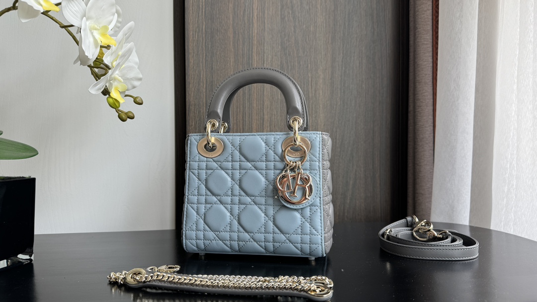 Dior Handbags AAA(Women)-507