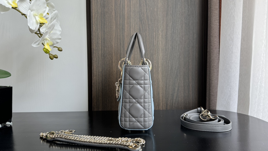 Dior Handbags AAA(Women)-507