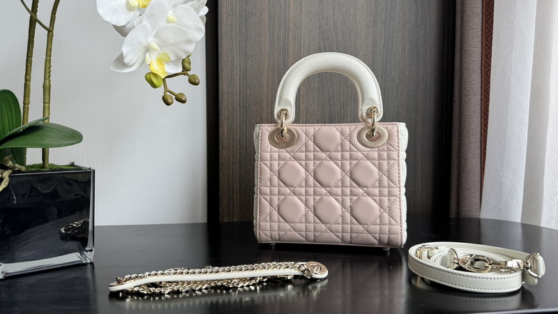 Dior Handbags AAA(Women)-508