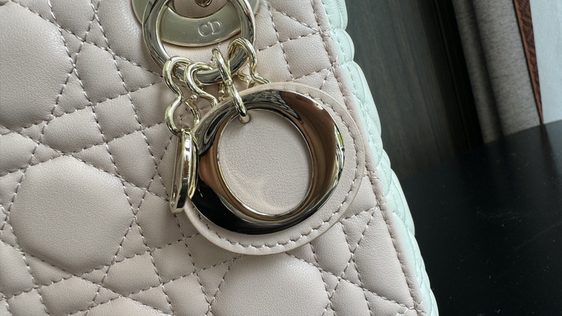 Dior Handbags AAA(Women)-508