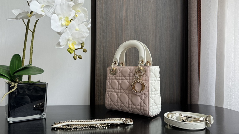 Dior Handbags AAA(Women)-508