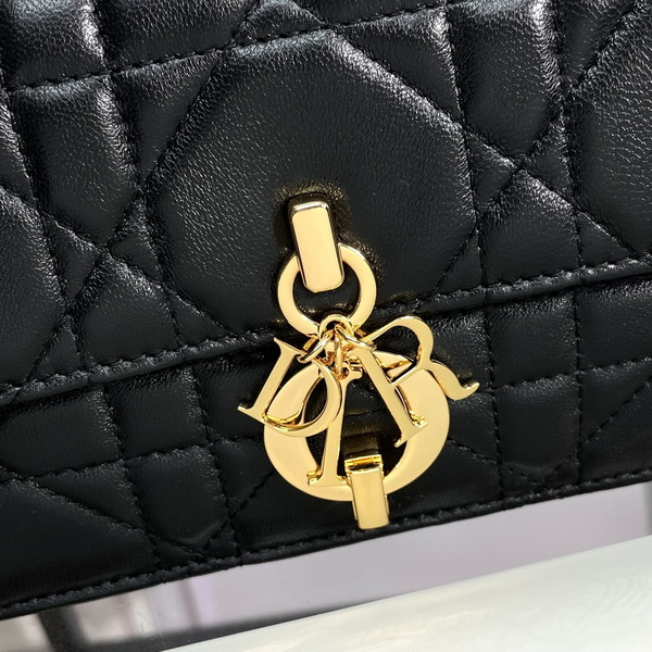 Dior Handbags AAA(Women)-516