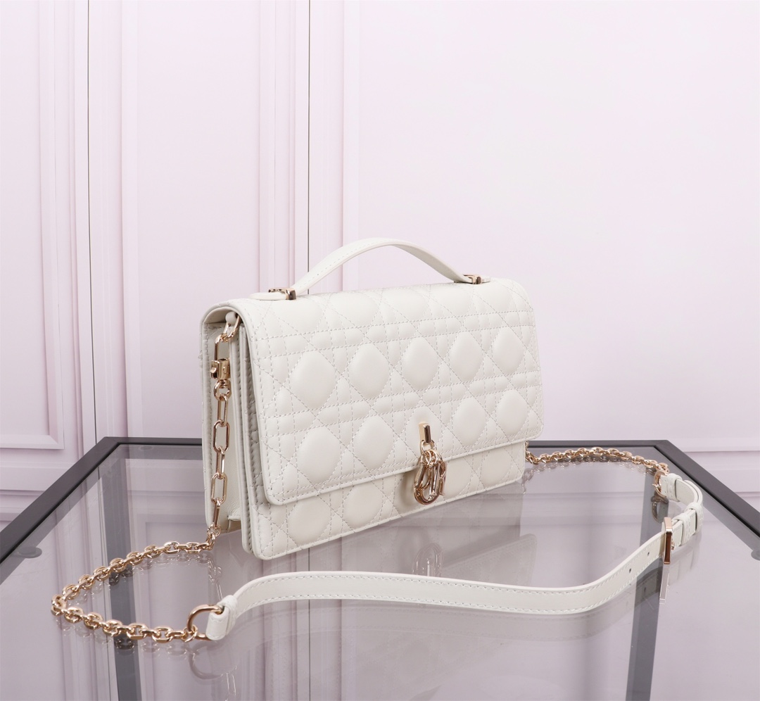 Dior Handbags AAA(Women)-519