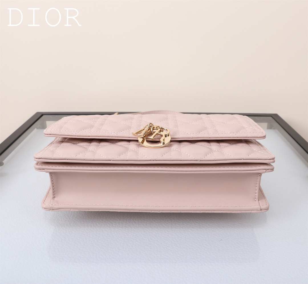 Dior Handbags AAA(Women)-521