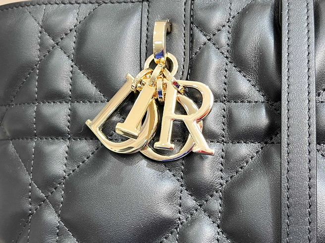Dior Handbags AAA(Women)-536