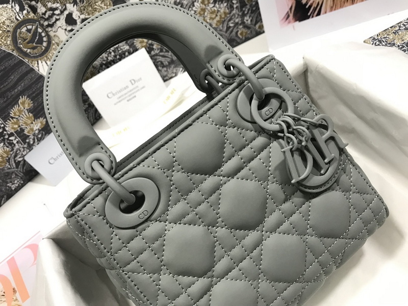 Dior Handbags AAA(Women)-555