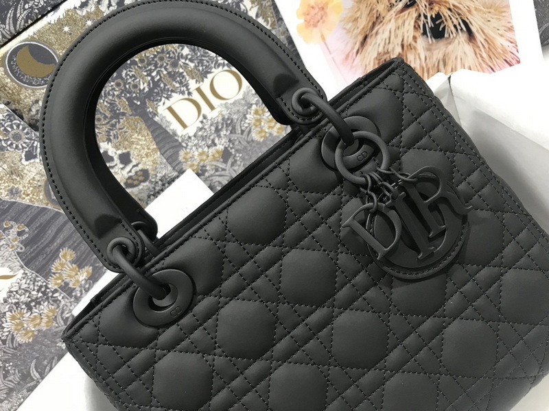 Dior Handbags AAA(Women)-556