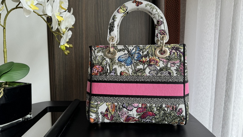 Dior Handbags AAA(Women)-563