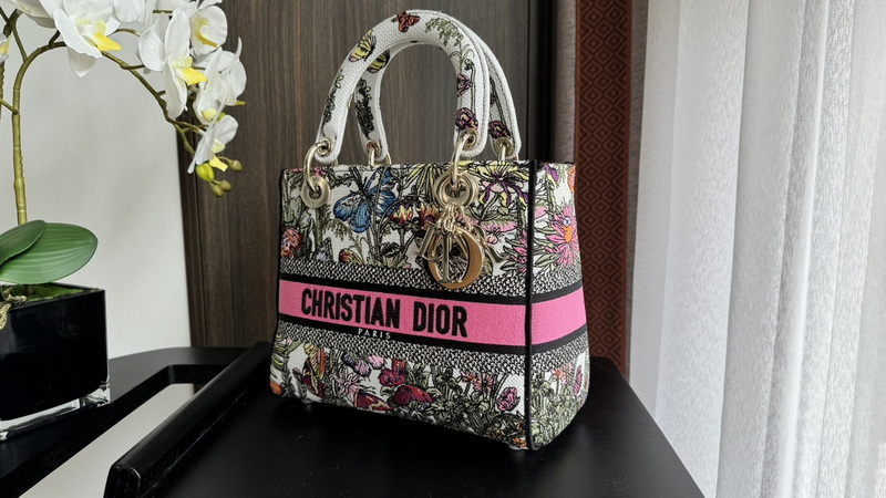 Dior Handbags AAA(Women)-563