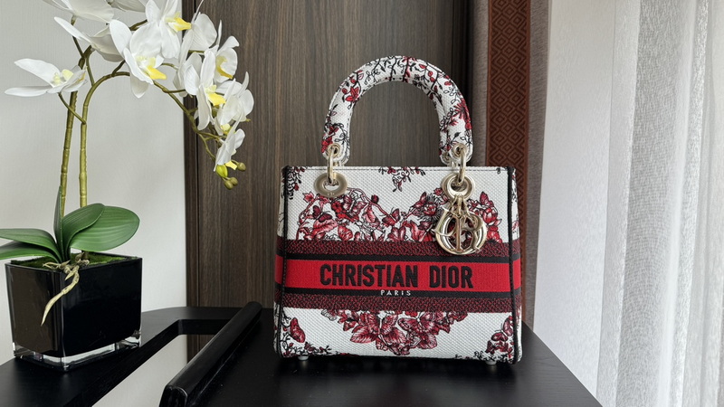 Dior Handbags AAA(Women)-564
