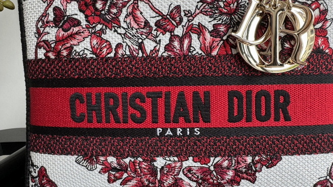 Dior Handbags AAA(Women)-564
