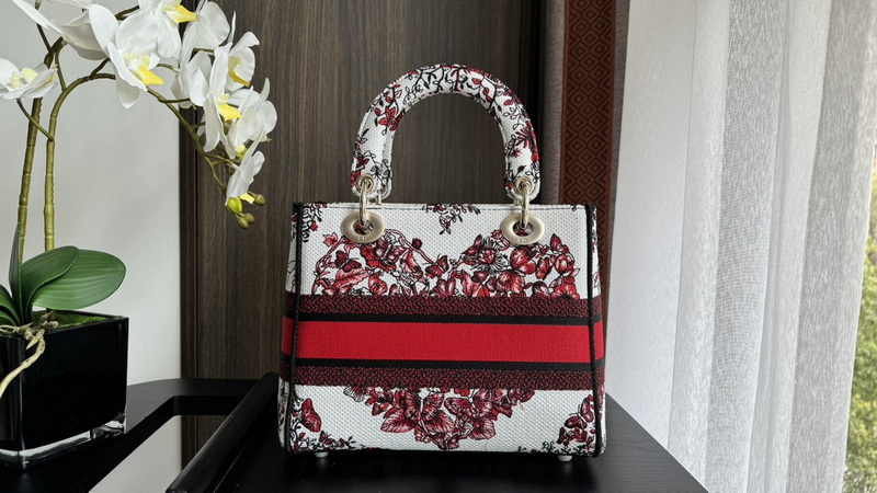 Dior Handbags AAA(Women)-564