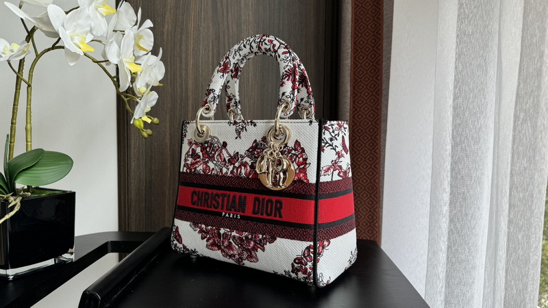 Dior Handbags AAA(Women)-564