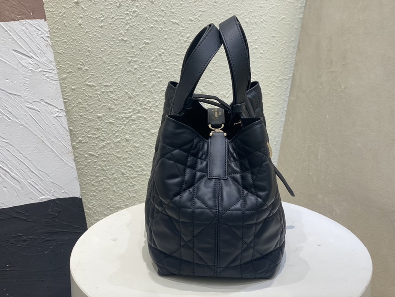 Dior Handbags AAA(Women)-565